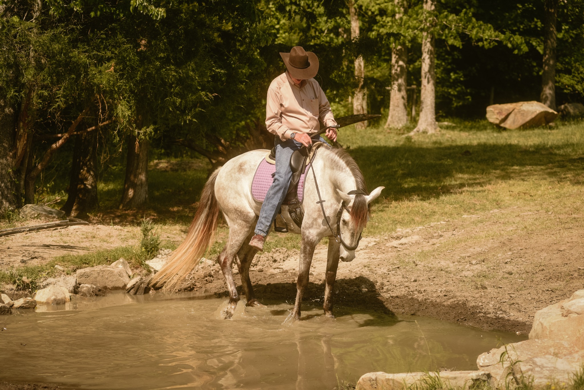 Rider and horse pausing together at the edge of a pond